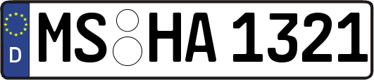 MS-HA1321