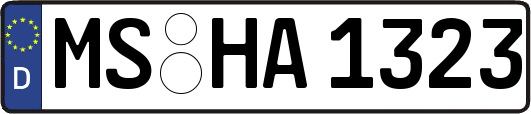 MS-HA1323
