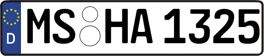 MS-HA1325