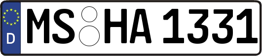 MS-HA1331