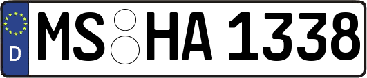 MS-HA1338