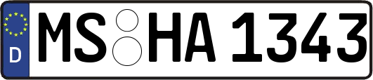 MS-HA1343