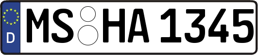 MS-HA1345