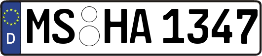 MS-HA1347