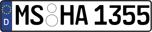 MS-HA1355