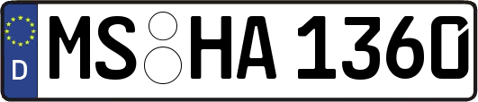 MS-HA1360