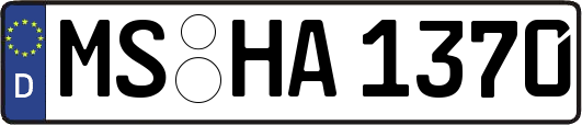 MS-HA1370