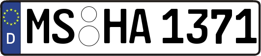 MS-HA1371