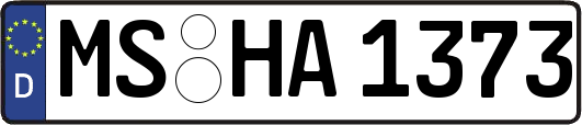 MS-HA1373