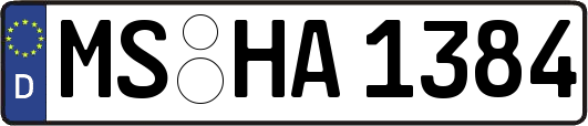 MS-HA1384