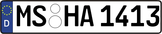 MS-HA1413