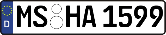 MS-HA1599