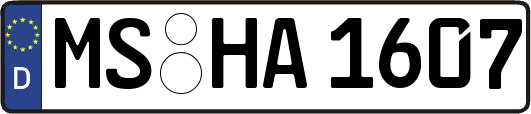 MS-HA1607