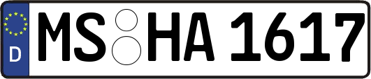MS-HA1617