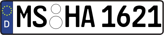 MS-HA1621