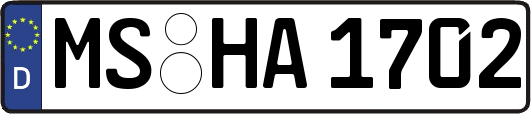 MS-HA1702