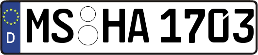 MS-HA1703