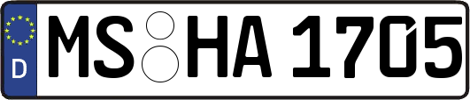 MS-HA1705