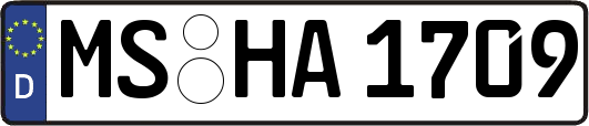 MS-HA1709