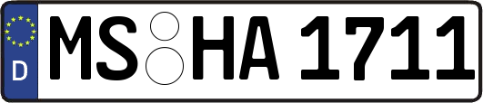 MS-HA1711