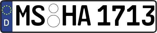 MS-HA1713