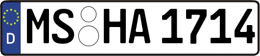 MS-HA1714