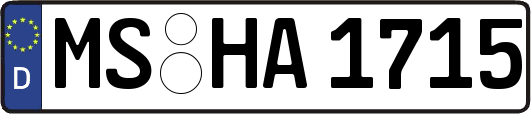 MS-HA1715