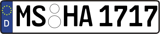 MS-HA1717