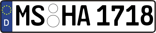 MS-HA1718