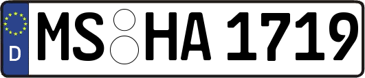 MS-HA1719