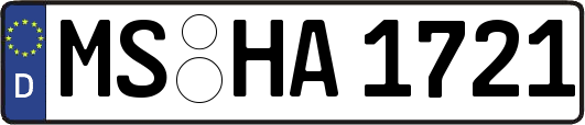MS-HA1721