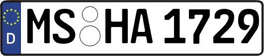 MS-HA1729