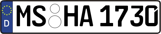 MS-HA1730