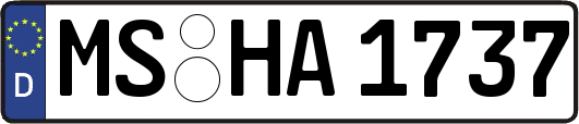 MS-HA1737