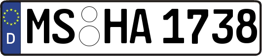 MS-HA1738