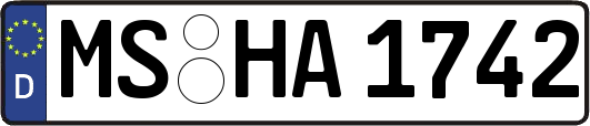 MS-HA1742