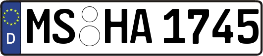MS-HA1745