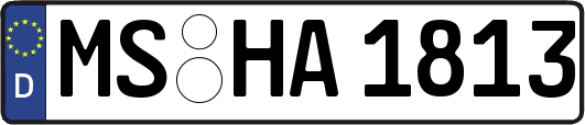 MS-HA1813