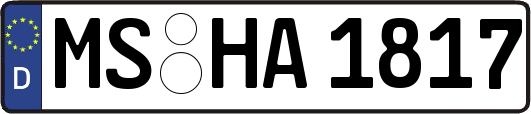 MS-HA1817