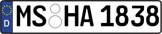 MS-HA1838