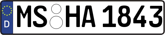 MS-HA1843