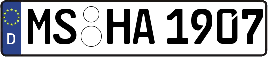 MS-HA1907