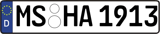MS-HA1913