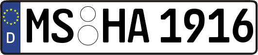 MS-HA1916