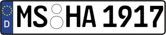 MS-HA1917