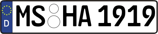 MS-HA1919