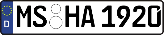 MS-HA1920