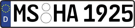 MS-HA1925