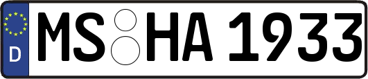 MS-HA1933