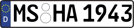 MS-HA1943